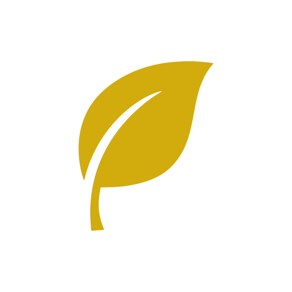 lantern icons 05 679c889bc307f 2048x2048 1 - Women's Only Health and Fitness